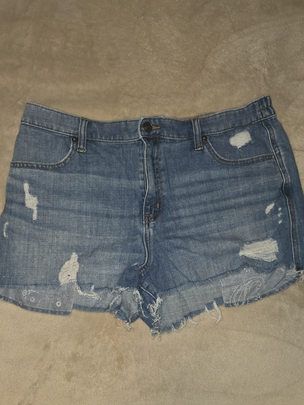 Aerie Shorts